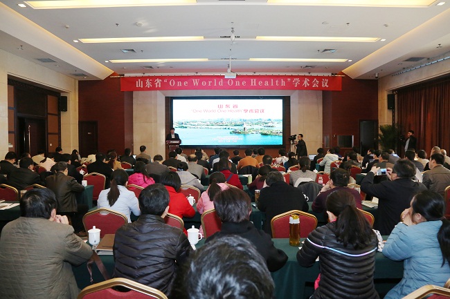 山东省“One World One Health”学术会议